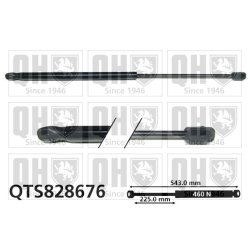 Cargo Area Gas Spring QUINTON HAZELL QTS828676