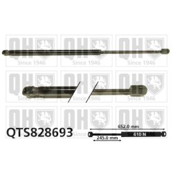 Cargo Area Gas Spring QUINTON HAZELL QTS828693 OE Ref 51247211289