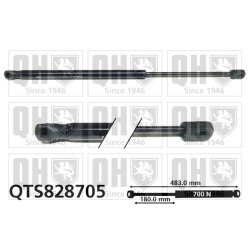 Cargo Area Gas Spring QUINTON HAZELL QTS828705
