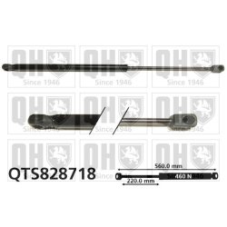 Cargo Area Gas Spring QUINTON HAZELL QTS828718