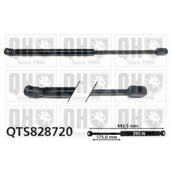 Cargo Area Gas Spring QUINTON HAZELL QTS828720