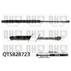 Cargo Area Gas Spring QUINTON HAZELL QTS828723