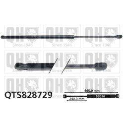 Cargo Area Gas Spring QUINTON HAZELL QTS828729