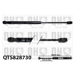 Cargo Area Gas Spring QUINTON HAZELL QTS828730