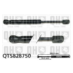 Cargo Area Gas Spring QUINTON HAZELL QTS828750