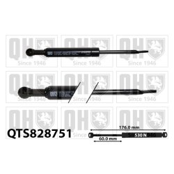 Rear Window Gas Spring QUINTON HAZELL QTS828751
