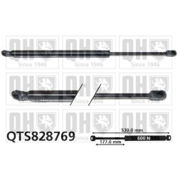 Cargo Area Gas Spring QUINTON HAZELL QTS828769