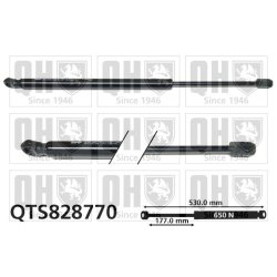Cargo Area Gas Spring QUINTON HAZELL QTS828770
