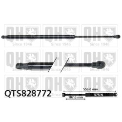 Cargo Area Gas Spring QUINTON HAZELL QTS828772