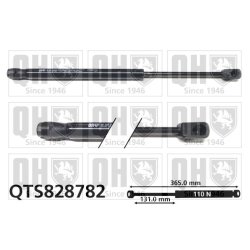 Cargo Area Gas Spring QUINTON HAZELL QTS828782