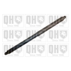 Cargo Area Gas Spring QUINTON HAZELL QTS828790