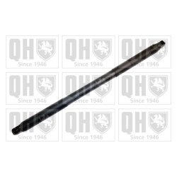 Cargo Area Gas Spring QUINTON HAZELL QTS828791 OE Ref 1669802164