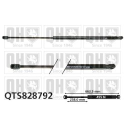 Cargo Area Gas Spring QUINTON HAZELL QTS828792 OE Ref 9012446280