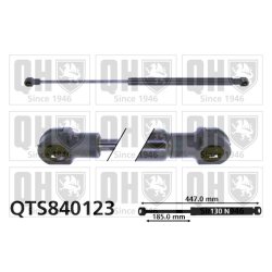 Rear Window Gas Spring QUINTON HAZELL QTS840123 OE Ref 6025306563