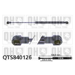 Rear Window Gas Spring QUINTON HAZELL QTS840126 OE Ref 7703024021