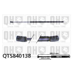 Cargo Area Gas Spring QUINTON HAZELL QTS840138 OE Ref 701829331T
