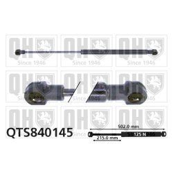 Rear Window Gas Spring QUINTON HAZELL QTS840145 OE Ref 7700838006
