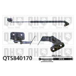 Cargo Area Gas Spring QUINTON HAZELL QTS840170 OE Ref 4705437