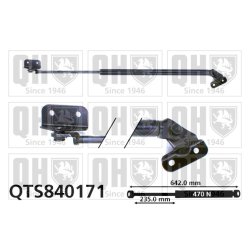 Cargo Area Gas Spring QUINTON HAZELL QTS840171 OE Ref 09210307