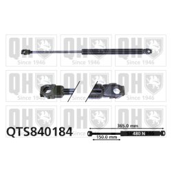 Cargo Area Gas Spring QUINTON HAZELL QTS840184 OE Ref 51242231663