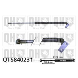 Cargo Area Gas Spring QUINTON HAZELL QTS840231 OE Ref 8BG562620