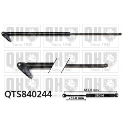 Cargo Area Gas Spring QUINTON HAZELL QTS840244 OE Ref MR170550