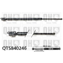 Cargo Area Gas Spring QUINTON HAZELL QTS840246 OE Ref MR349193