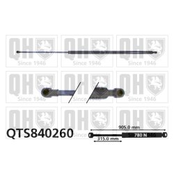 Cargo Area Gas Spring QUINTON HAZELL QTS840260 OE Ref 9045100QAA