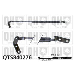 Cargo Area Gas Spring QUINTON HAZELL QTS840276 OE Ref 6895019525