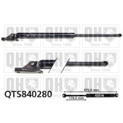 Cargo Area Gas Spring QUINTON HAZELL QTS840280 OE Ref 6896019805