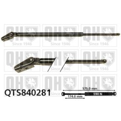 Cargo Area Gas Spring QUINTON HAZELL QTS840281 OE Ref 6896019485
