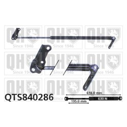 Cargo Area Gas Spring QUINTON HAZELL QTS840286 OE Ref 6890828060
