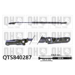 Cargo Area Gas Spring QUINTON HAZELL QTS840287 OE Ref 6890728060