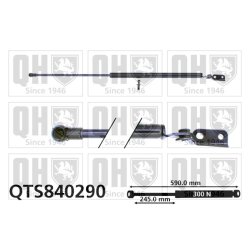 Cargo Area Gas Spring QUINTON HAZELL QTS840290 OE Ref 6896019645