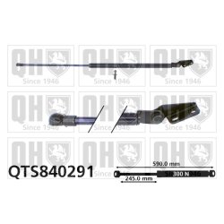 Cargo Area Gas Spring QUINTON HAZELL QTS840291 OE Ref 6895080050