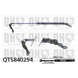 Cargo Area Gas Spring QUINTON HAZELL QTS840294 OE Ref 6895005925