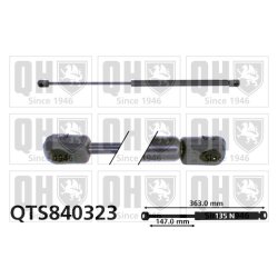Rear Window Gas Spring QUINTON HAZELL QTS840323 OE Ref 8200130187