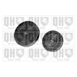 Rocker Arm Shaft Mounting Bore Plug QUINTON HAZELL QTT3000K OE Ref 7700105749