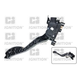 Accelerator Pedal Position Sensor QUINTON HAZELL XAPS122 OE Ref 50504914
