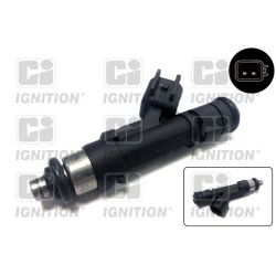 Injector QUINTON HAZELL XPSI135 OE Ref L3G513250