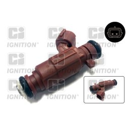 Injector QUINTON HAZELL XPSI31 OE Ref 166009F600