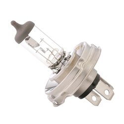 Headlight Bulb (Universal) RIDEX 106B0011 OE Ref YY04500417312