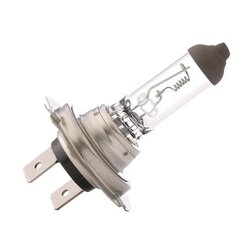 Spotlight Bulb RIDEX 106B0013 OE Ref 11077651