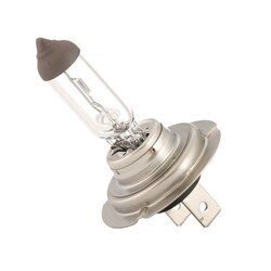 Spotlight Bulb RIDEX 106B0065