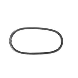 V Belt RIDEX 10C0004 OE Ref 052903137A