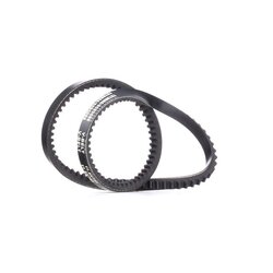 V Belt RIDEX 10C0017 OE Ref 86AB 6C301 BA