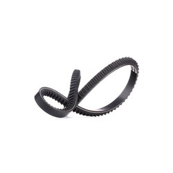 V Belt RIDEX 10C0023 OE Ref 60806474