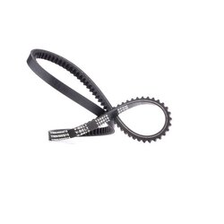 V Belt RIDEX 10C0024 OE Ref 7621256