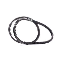 V Belt RIDEX 10C0025 OE Ref 119280210300
