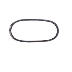 V Belt RIDEX 10C0035 OE Ref 068903137AM